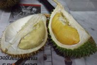 bahaya-durian-doktersehat-696x522.jpg