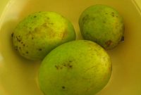 manfaat-buah-bacang-doktersehat-696x522.jpg